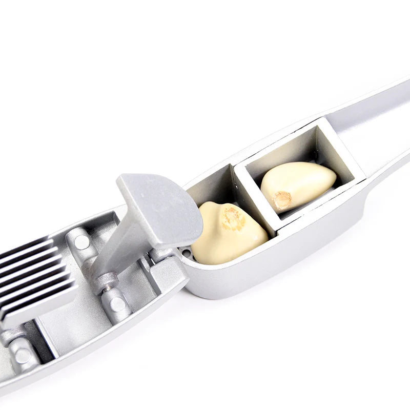 Kitchen Garlic Press Set